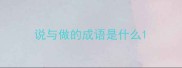 说与做的成语是什么