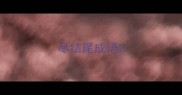尽结尾成语