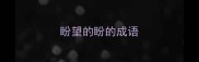 盼望的盼的成语