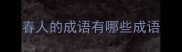 春人的成语有哪些成语