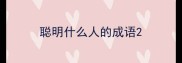 聪明什么人的成语