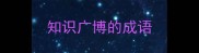 知识广博的成语