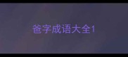 爸字成语大全