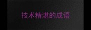 技术精湛的成语