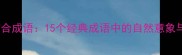 形景结合成语15个经典成语中的自然意象与形态