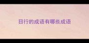 目行的成语有哪些成语