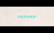 鸟和天的成语