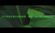 10个形容自我认知的成语独立人格必备的清醒表达