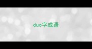 duo字成语