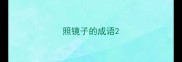 照镜子的成语