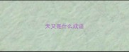 天又是什么成语