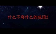 什么不夸什么的成语