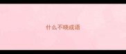 什么不晓成语