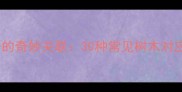 树木与成语的奇妙关联30种常见树木对应经典成语