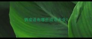 俩成语有哪些成语大全
