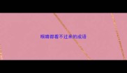 眼睛都看不过来的成语