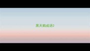 黑天鹅成语
