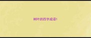 树叶的四字成语