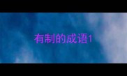有制的成语
