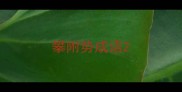 攀附势成语