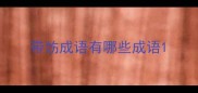 带饬成语有哪些成语