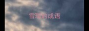雪瑞的成语