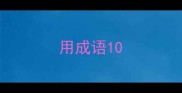 用成语10