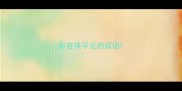 形容很罕见的成语