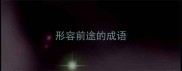 形容前途的成语