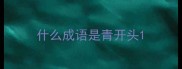 什么成语是青开头