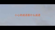 小心的成语是什么成语