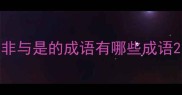 非与是的成语有哪些成语