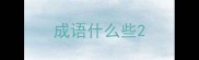 成语什么些
