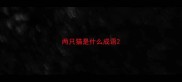 两只猫是什么成语