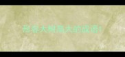 形容大树高大的成语
