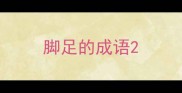 脚足的成语