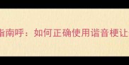 成语谐音梗避坑指南呼如何正确使用谐音梗让表达更生动有趣