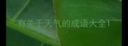 有关于天气的成语大全
