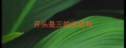 开头是三的成语有