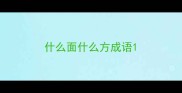 什么面什么方成语