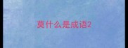 莫什么是成语