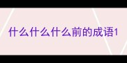 什么什么什么前的成语