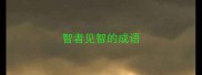 智者见智的成语