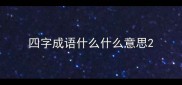 四字成语什么什么意思