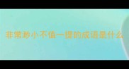 非常渺小不值一提的成语是什么