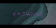 前字开头的成语