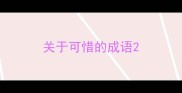 关于可惜的成语