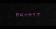 夜成语开头字