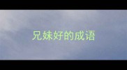 兄妹好的成语