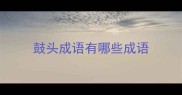 鼓头成语有哪些成语